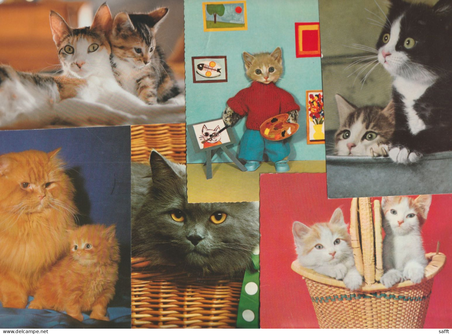 Lot Mit 16 Ansichtskarten Motiv Katze Querbeet - 5 - 99 Postcards