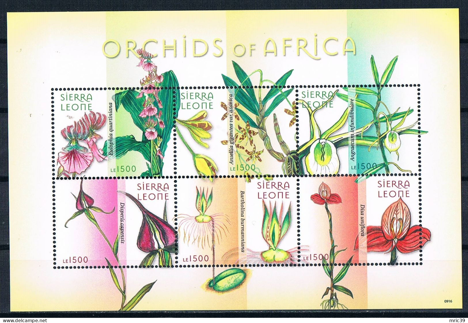 Bloc Sheet  Fleurs Orchidées Flowers Orchids  Neuf  MNH **  Sierra Leone 2009 - Orchidee