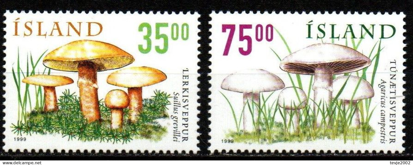 Island 1999 - Mi.Nr. 915 - 916 - Postfrisch MNH - Pilze Mushrooms - Pilze