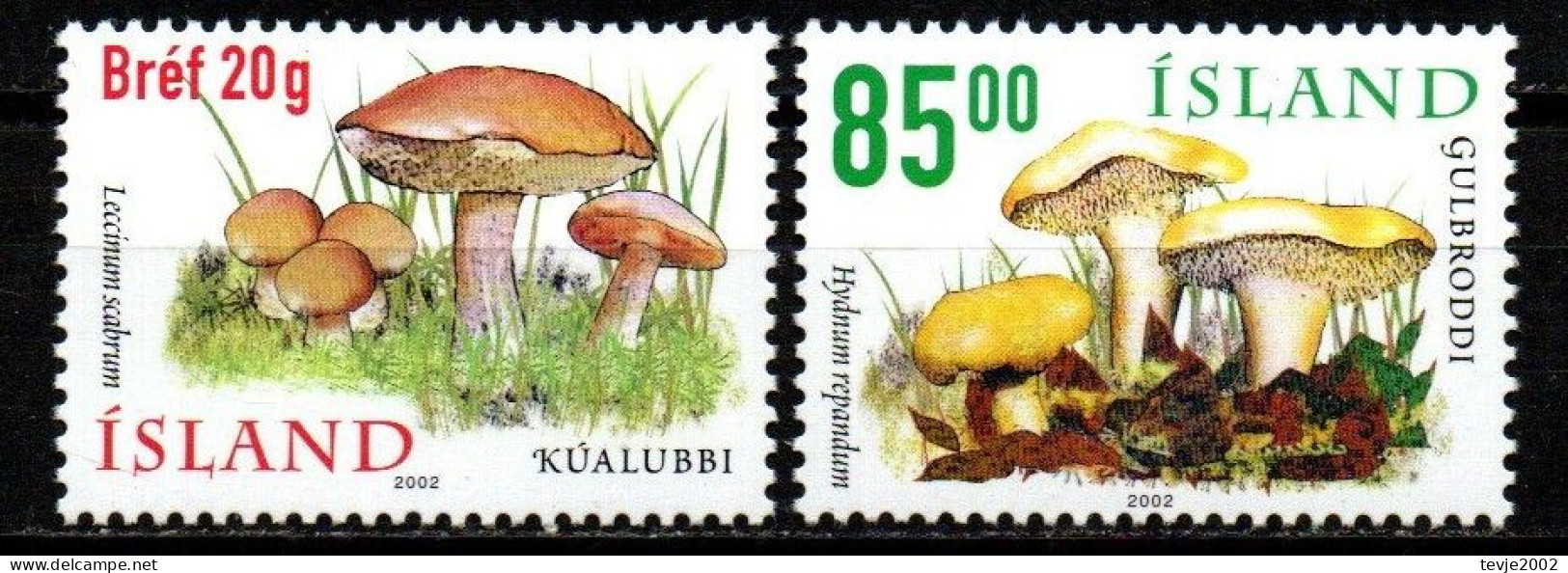 Island 2002 - Mi.Nr. 1000 - 1001 - Postfrisch MNH - Pilze Mushrooms - Mushrooms