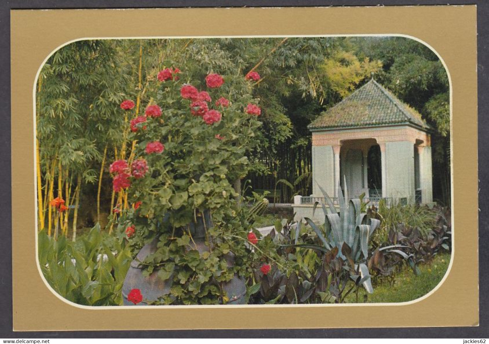 127429/ MARRAKECH, Le Jardin Majorelle - Marrakesh