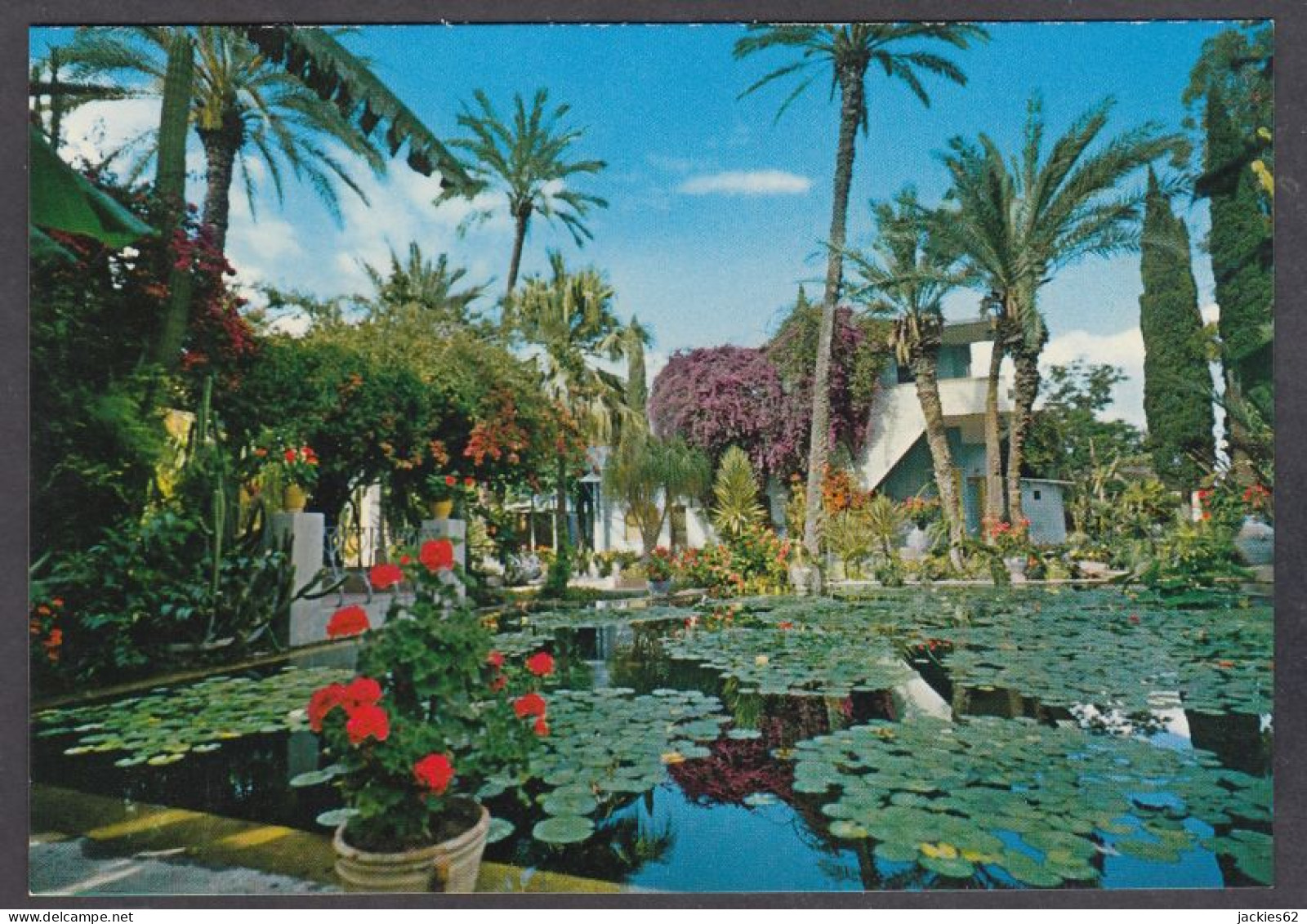 127427/ MARRAKECH, Le Jardin Majorelle - Marrakesh