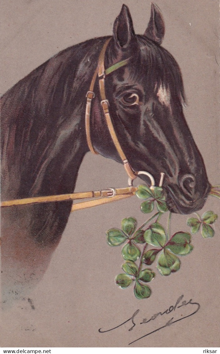 CHEVAL(CARTE GAUFREE) - Paarden