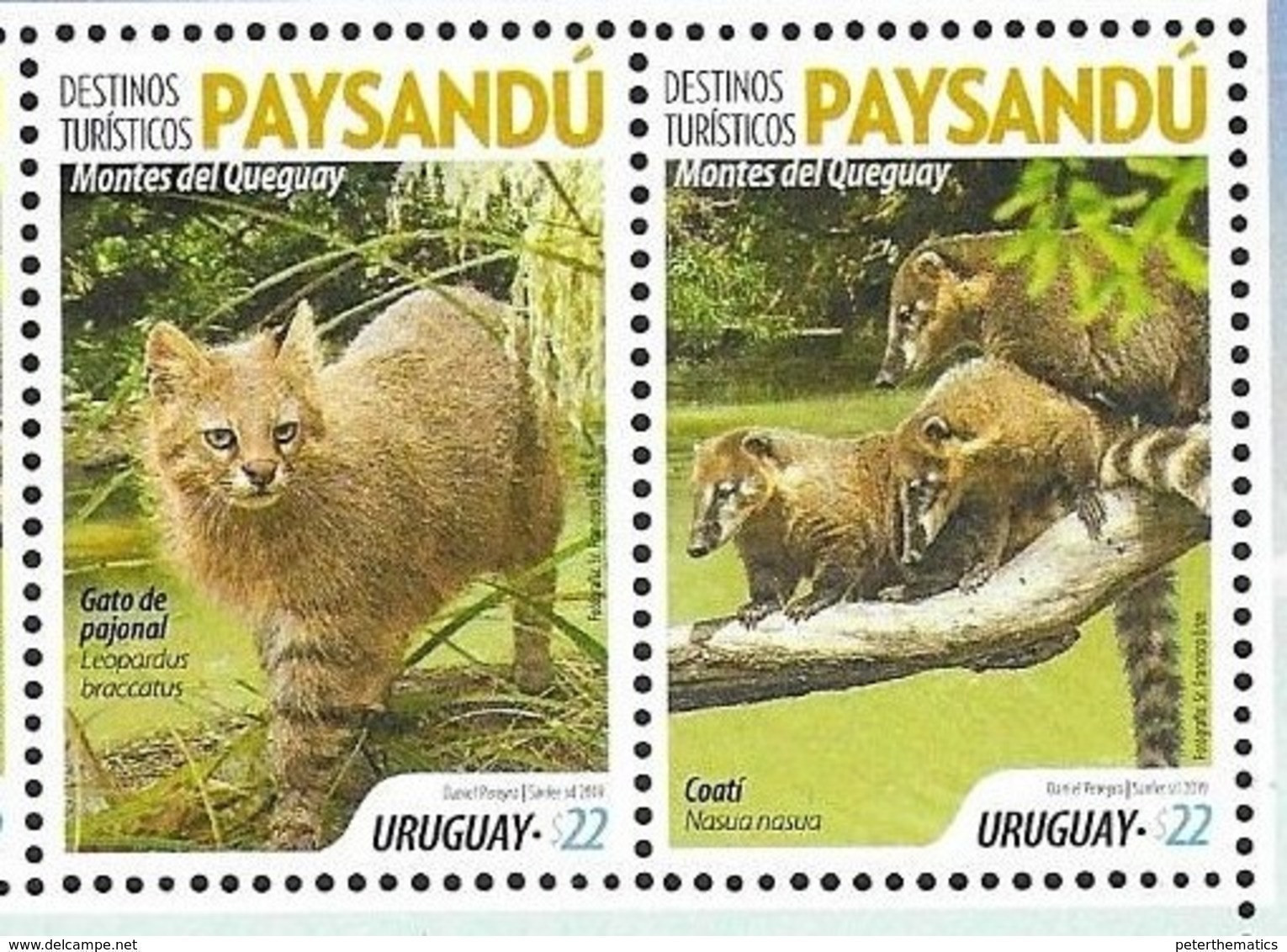 URUGUAY, 2019, MNH, TOURIST DESTINATIONS, PAYSANDÚ, FAUNA, COATIS, WILD CATS,2v - Roofkatten