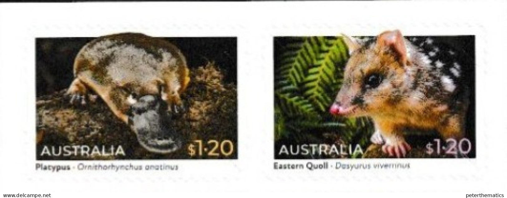 AUSTRALIA, 2022, MNH, NATIVE ANIMALS, PLATYPUS, RODENTS, 2v S/A Ex. BKLT - Rodents