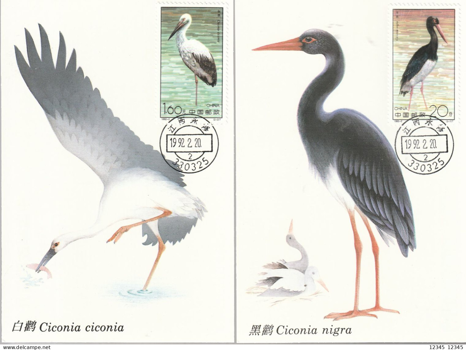 China 1992, Cards Unused, Birds - Maximumkarten