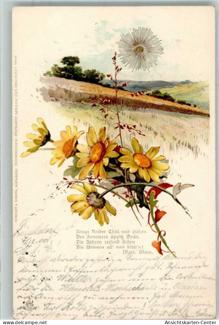 39807507 - Sonnenschein Karte Serie XVI  Gedicht V. Blum.  Wiesenblumen - Sonstige & Ohne Zuordnung