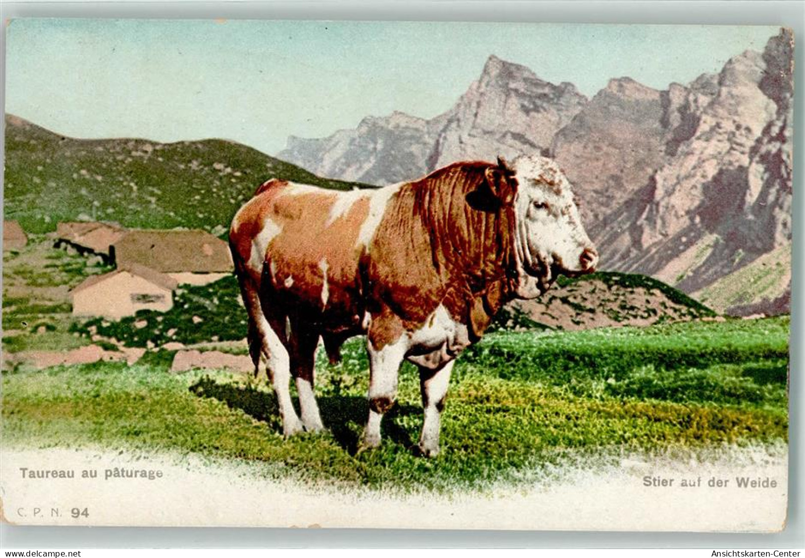 39289907 - Stier Auf Der Weide  In Der Schweiz AK - Vaches