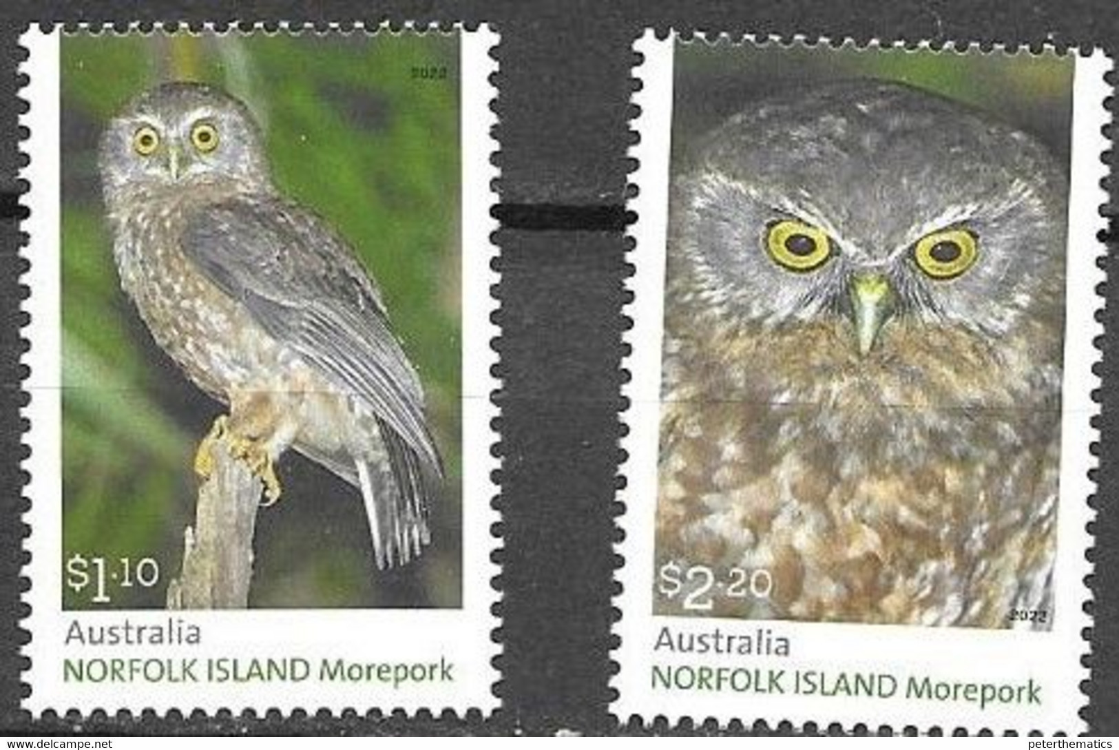 NORFOLK ISLAND, 2022, MNH, BIRDS, OWLS, MOREPORK, 2v - Gufi E Civette