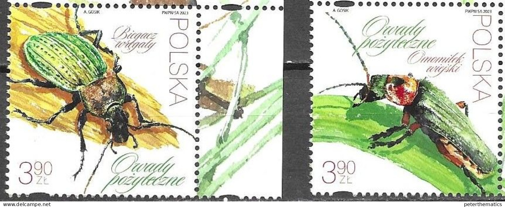 POLAND,  2023, MNH, INSECTS, BENEFICIAL INSECTS,2v - Other & Unclassified