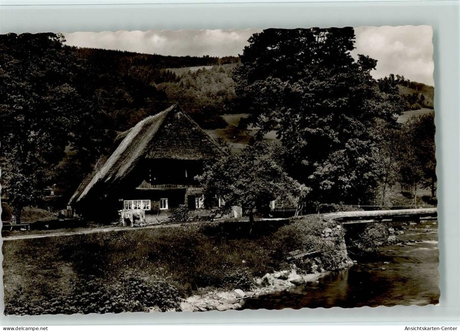 12073107 - Schwarzwald Haeuser Bauernhaus Am Fluss 1955 - Hochschwarzwald