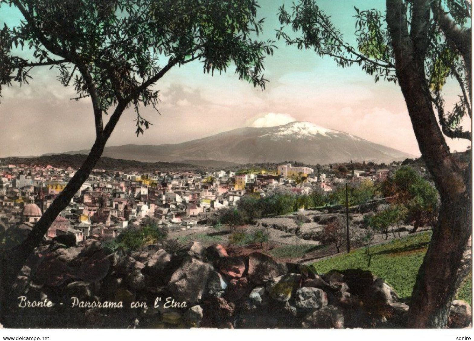 BRONTE (CATANIA) PANORAMA CON L'ETNA - ED.SCIAVARELLO - NVG FG - C404 - Catania