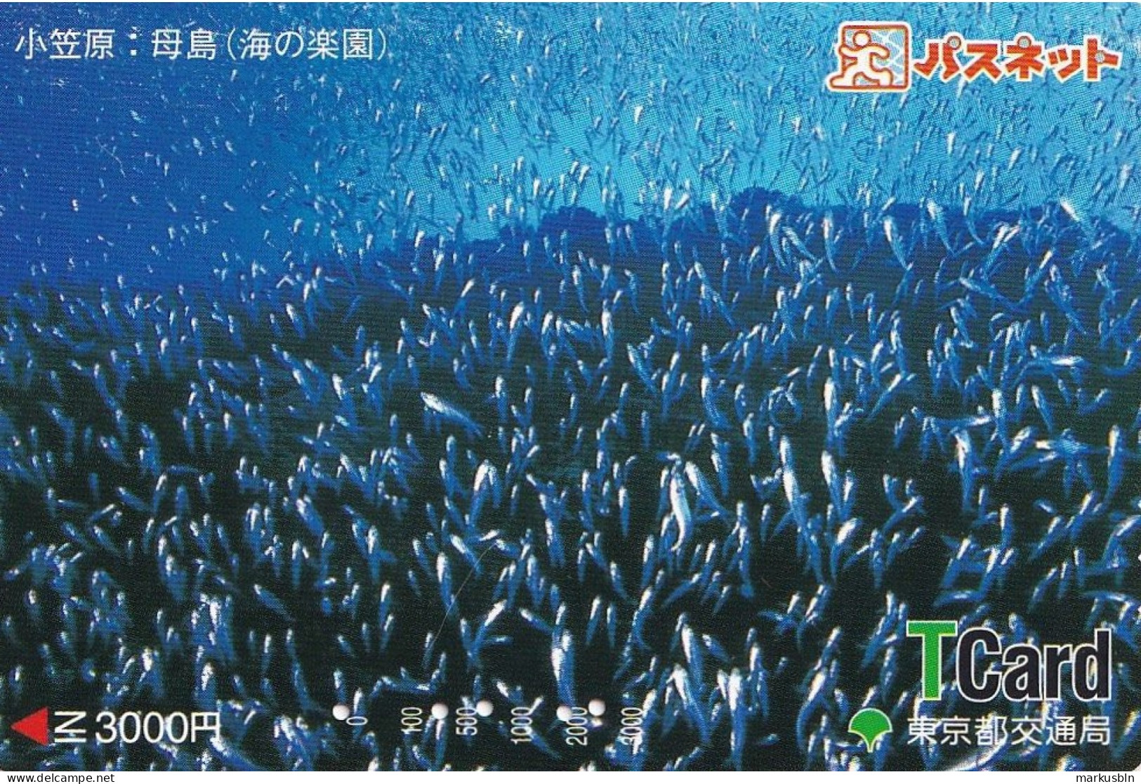 Japan Prepaid T Card 3000 - Fish Fishes Underwater - Japan