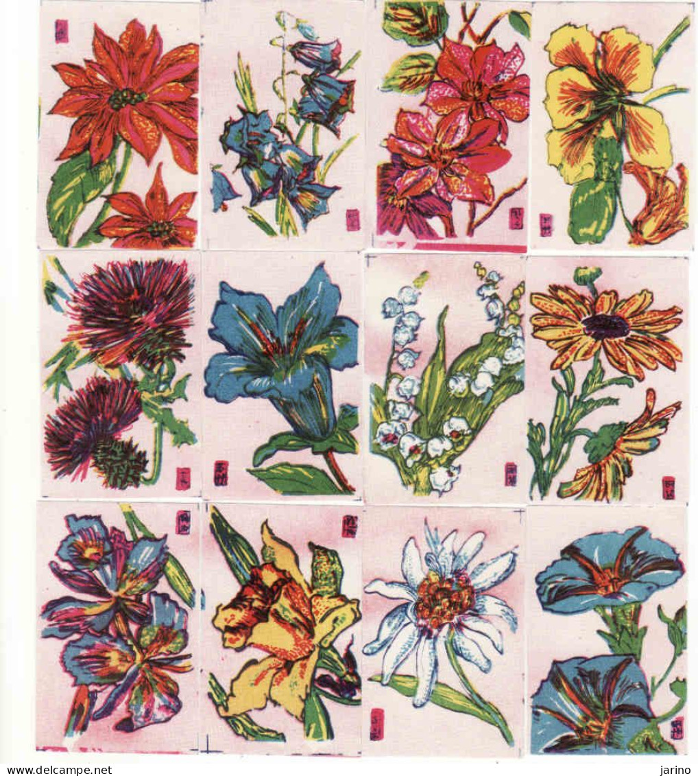 Japan - 12 X Matchbox Labels, Flowers, Painting, Flora - Boites D'allumettes - Etiquettes