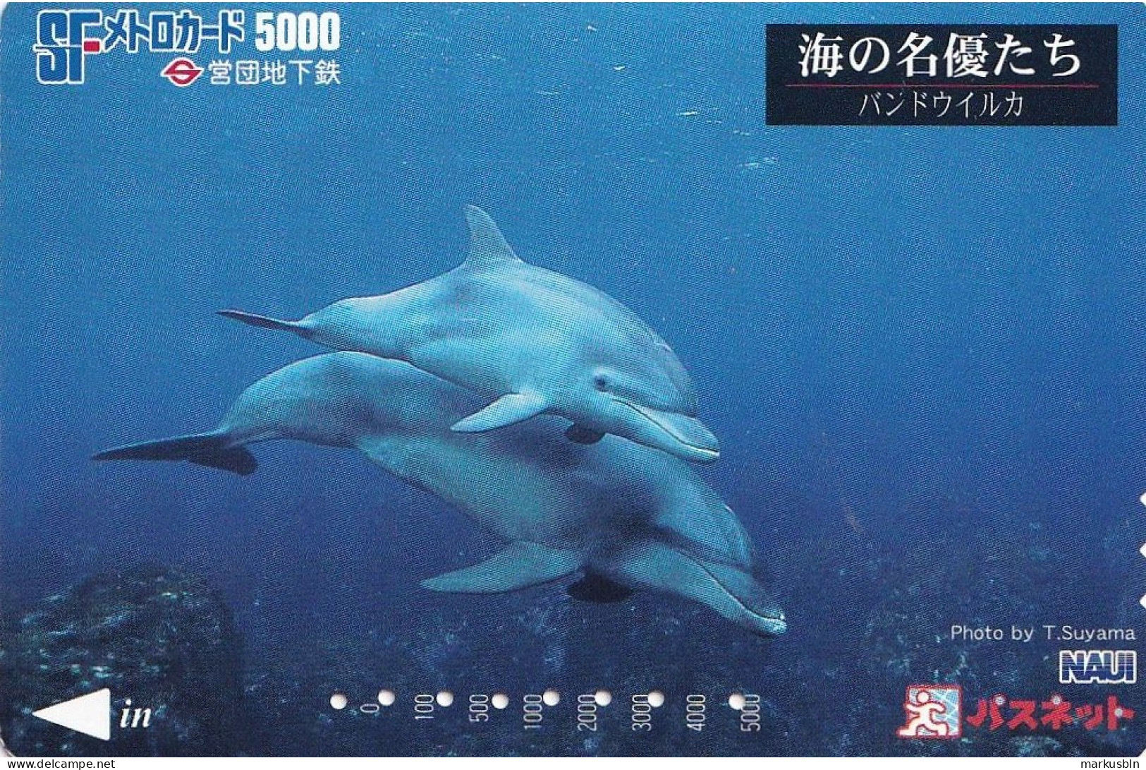 Japan Prepaid  SF Card 5000 - Underwater Dolphins - Japan