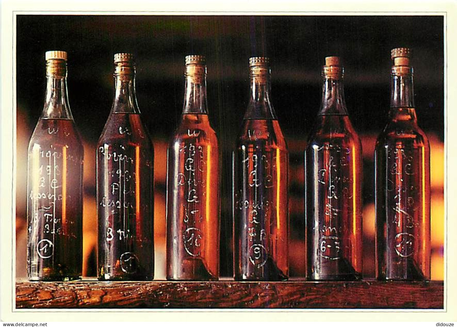 Vignes - Cognac Hennessy - Bouteille De Vin - CPM - Carte Neuve - Voir Scans Recto-Verso - Vigne
