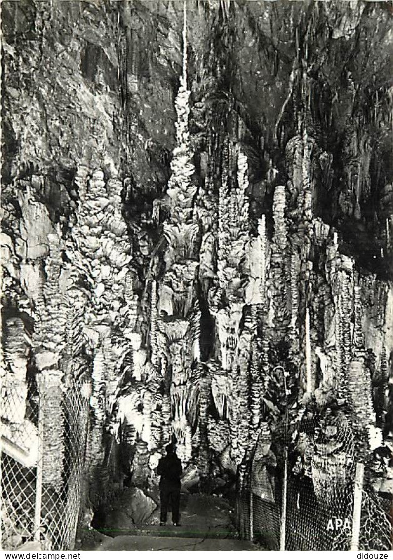 48 - Meyrueis - Grotte De L'Aven Armand - La Grande Stalagmite - Mention Photographie Véritable - Spéléologie - Carte De - Meyrueis