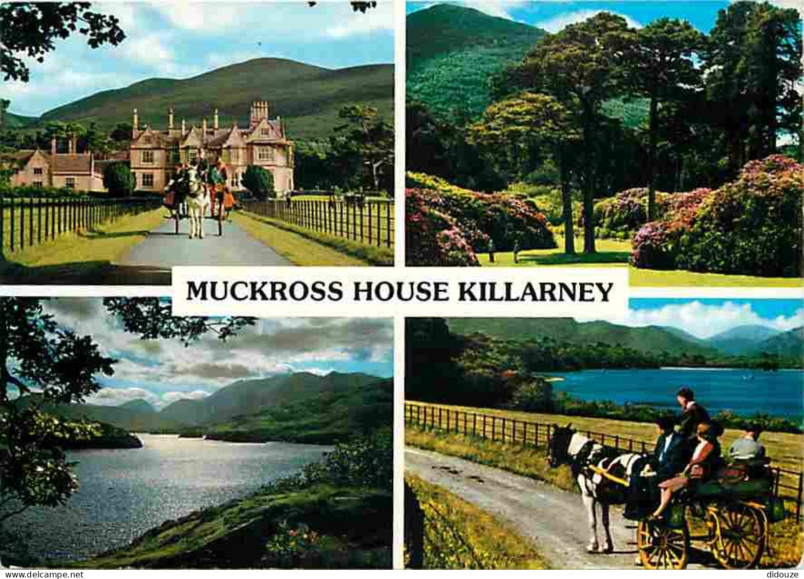 Irlande - Kerry - Muckross House Killarney - Multivues - Attelage De Chevaux - Ireland - CPM - Voir Scans Recto-Verso - Kerry
