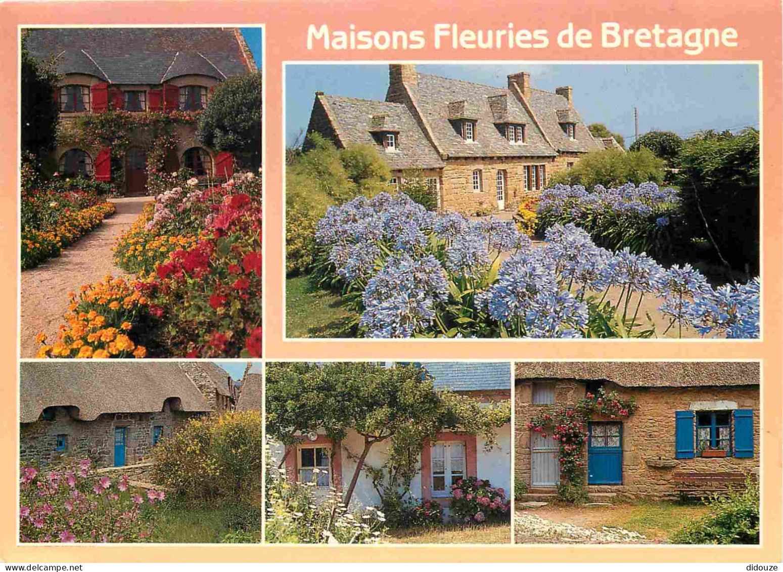 Régions - Bretagne - Maisons Fleuries - Multivues - CPM - Voir Scans Recto-Verso - Bretagne