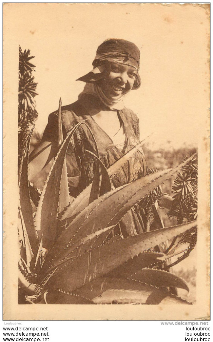 FLEURS SAUVAGES   COLLECTION L'AFRIQUE R.  PROUHO HUSSEIN DEY - Autres & Non Classés