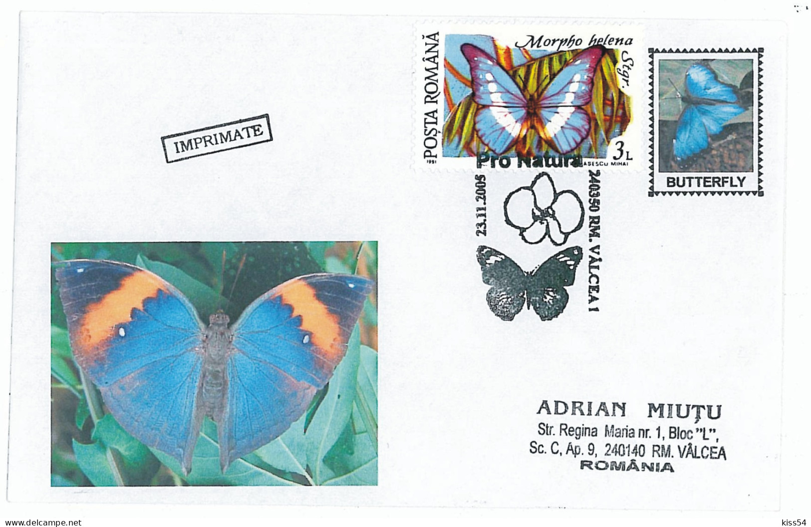 COV 13 - 303 BUTTERFLY, Romania - Cover - Used - 2005 - Storia Postale