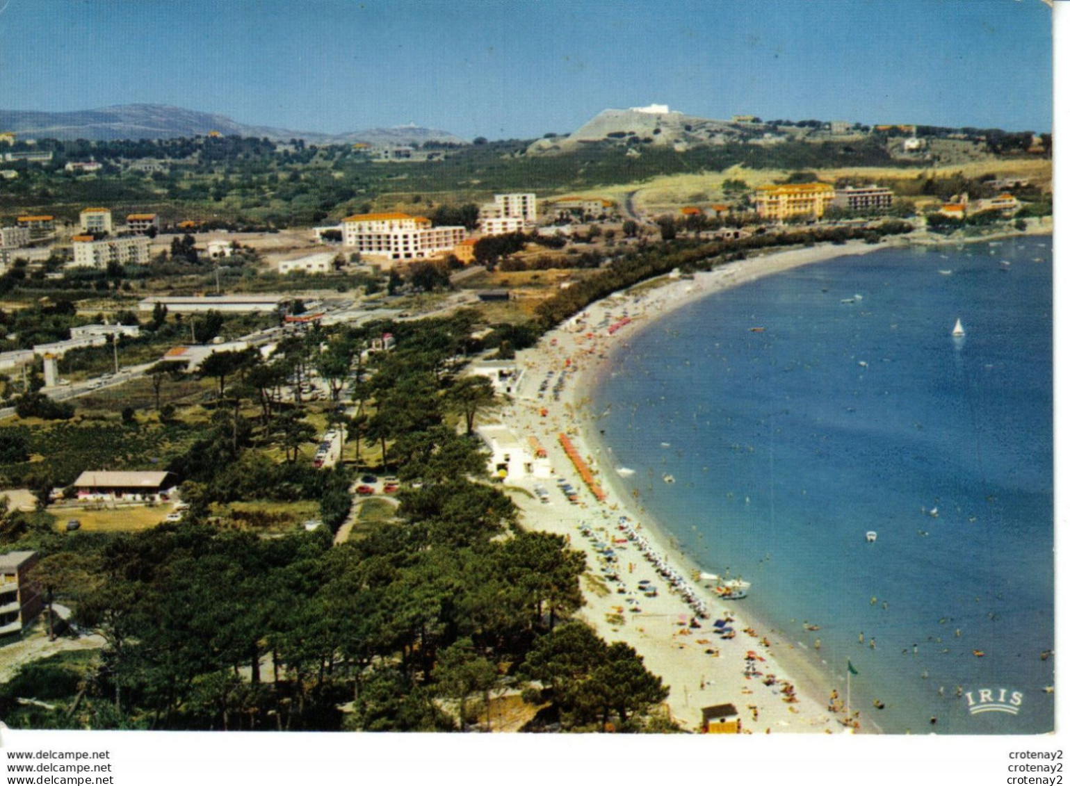 Haute Corse CALVI La Pinède & La Plage Postée De L'ILE ROUSSE En 1979 Charmes Et Couleurs De La Corse éditions La Cigale - Calvi