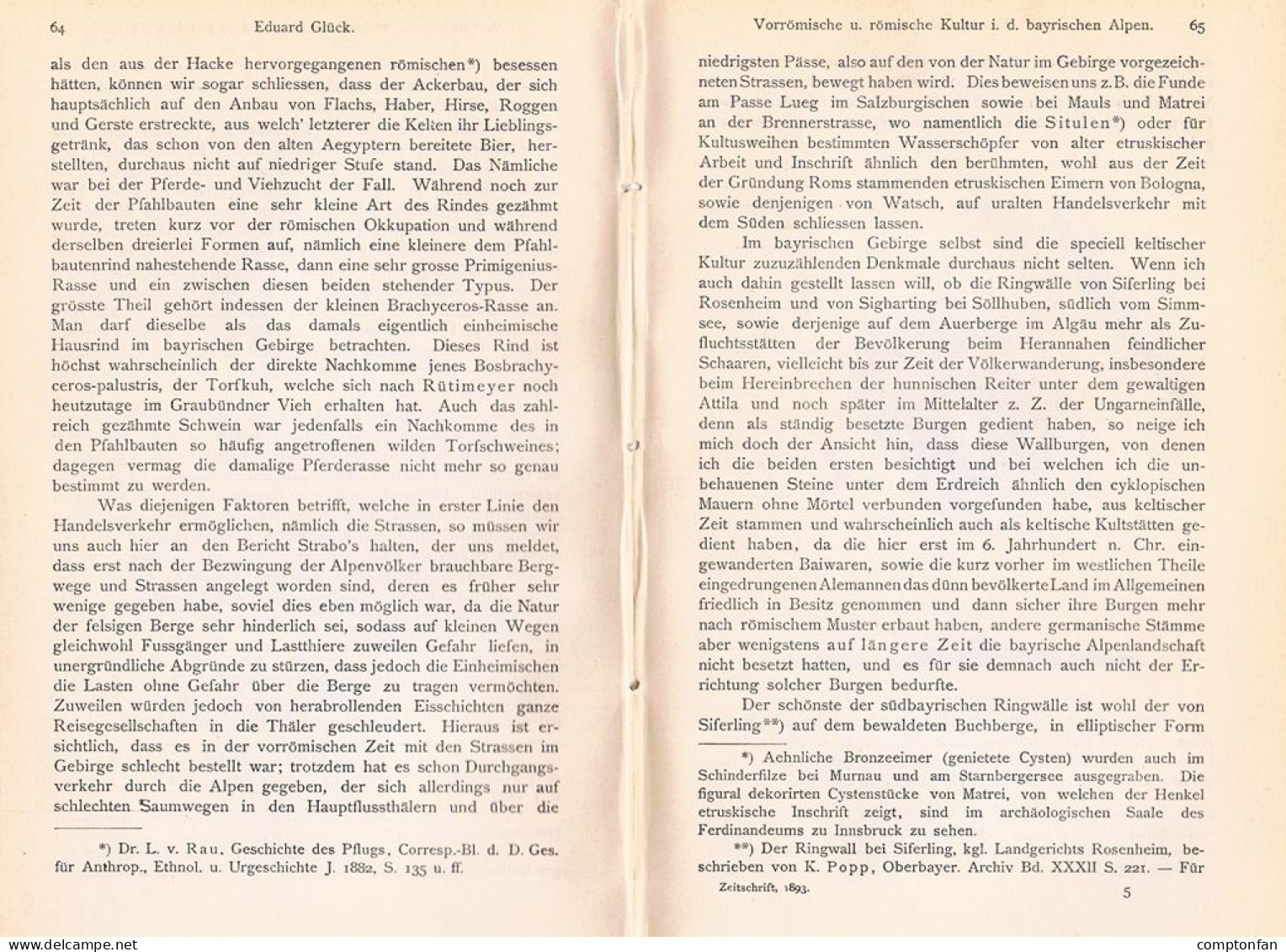 A102 1495 Eduard Glück Bayerische Alpen Römische Kultur Artikel 1893 - Andere & Zonder Classificatie