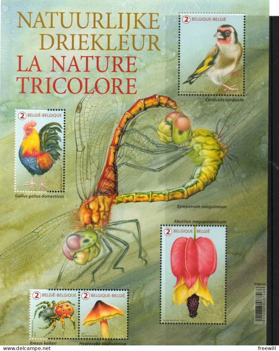 Belgique België Belgium  La Nature Tricolre , Natuurlijk  Driekleur XXX 2021 - 2002-… (€)