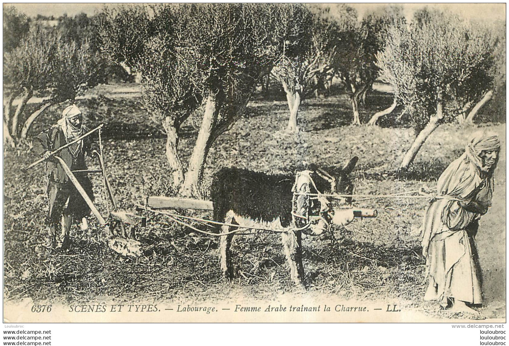 LABOURAGE FEMME ARABE TRAINANT LA CHARRUE - Cultivation