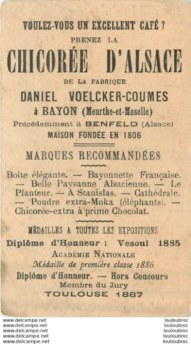 CHROMO   LA CHICOREE D'ALSACE DANIEL VOELCKER OUMES A BAYON - Tè & Caffè