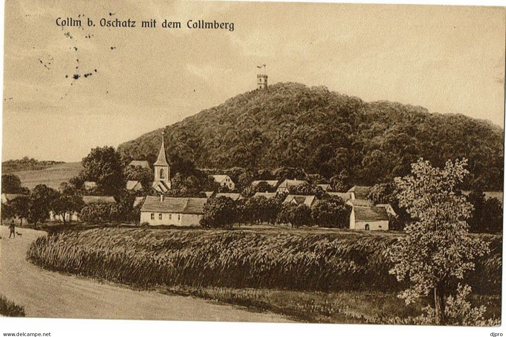 Collm BOschatz Mit Dem Collmberg - Wermsdorf