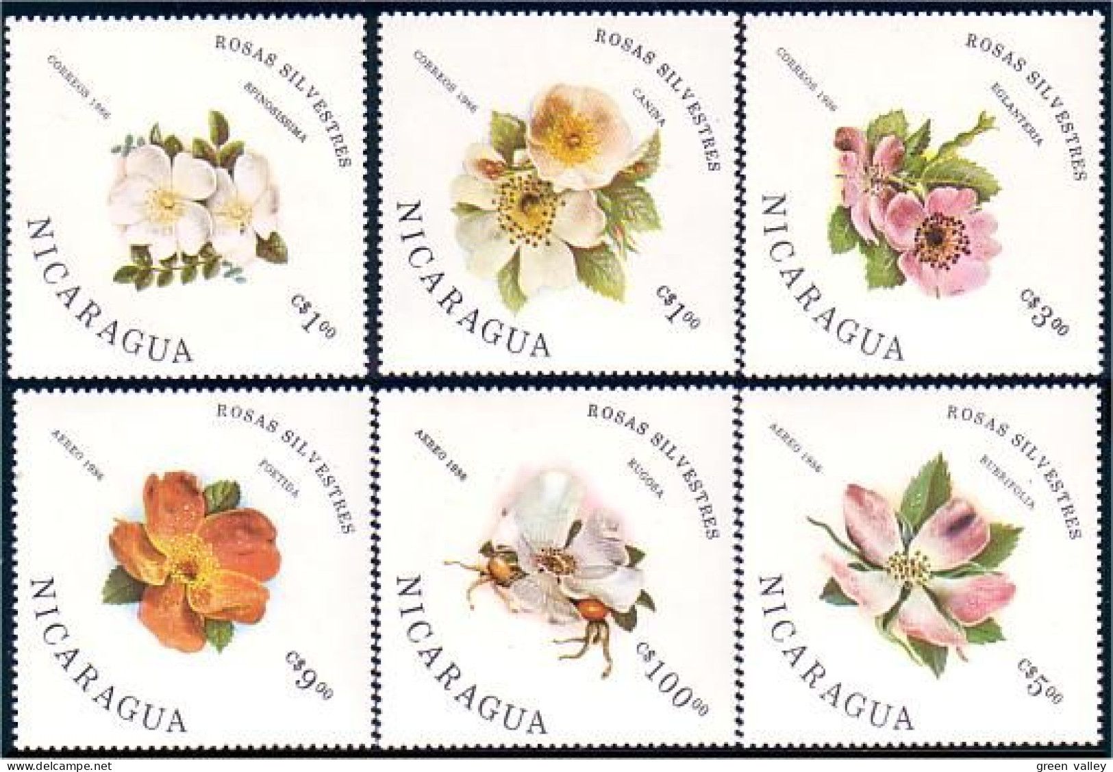 684 Nicaragua Roses Sauvages Des Bois Forest Wild Roses MNH ** Neuf SC (NIC-52c) - Rose