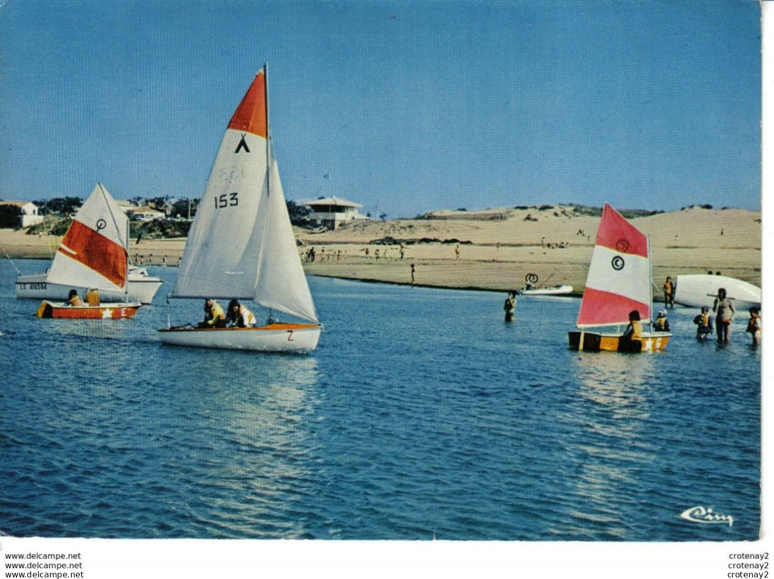 85 BRETIGNOLLES SUR MER La Normandelière Ecole De Voile Voiliers VOIR DOS Et Flamme En 1984 - Bretignolles Sur Mer