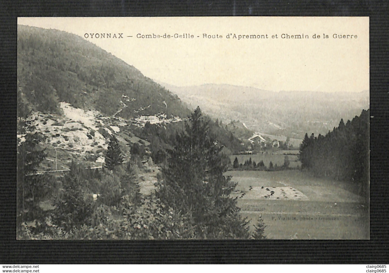 01 - OYONNAX - Combe-de-Geille - Route D'Apremont Et Chemin De La Guerre -  (peu Courante) - Oyonnax