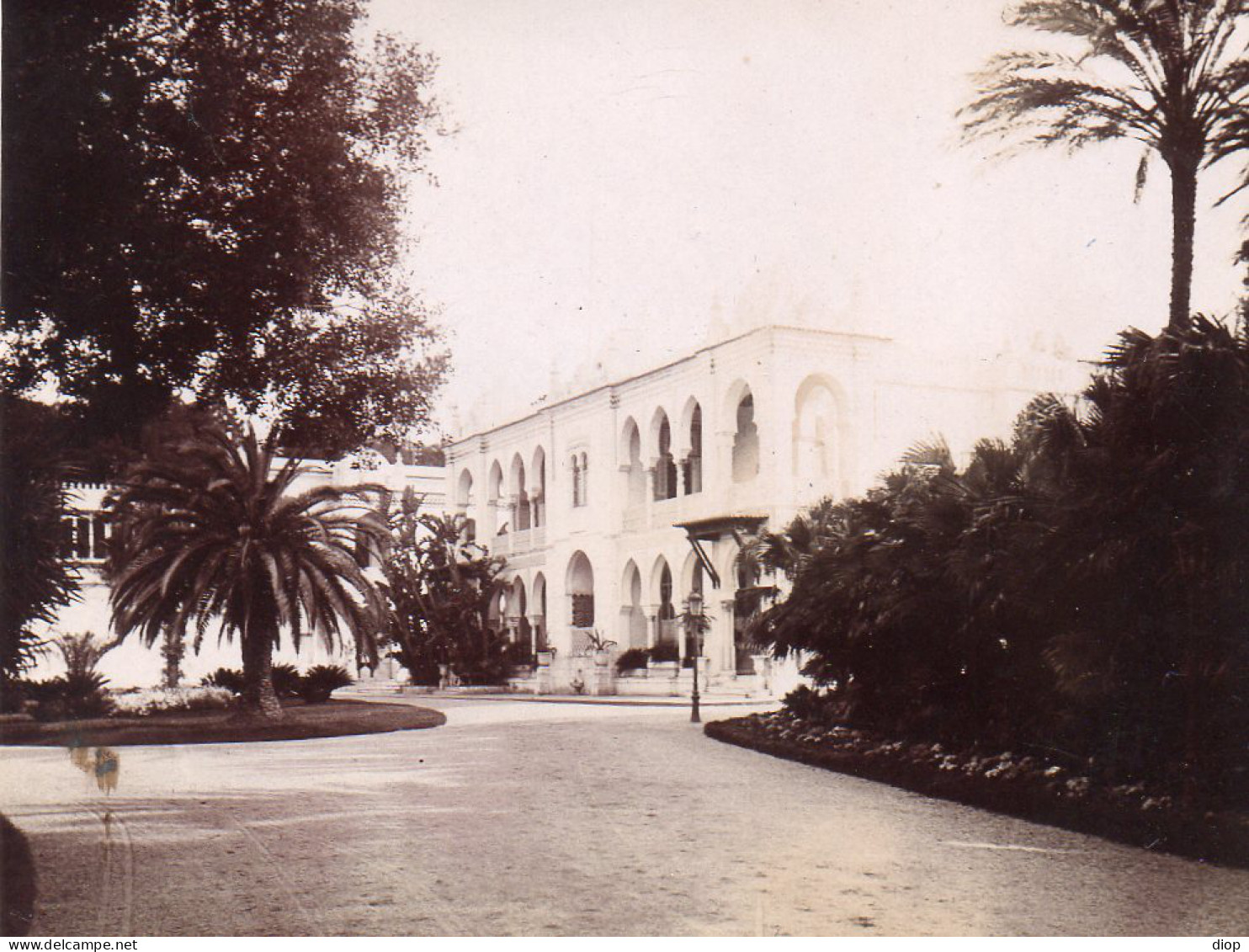 Photographie Photo Vintage Snapshot Afrique Alg&eacute;rie Alger - Afrika