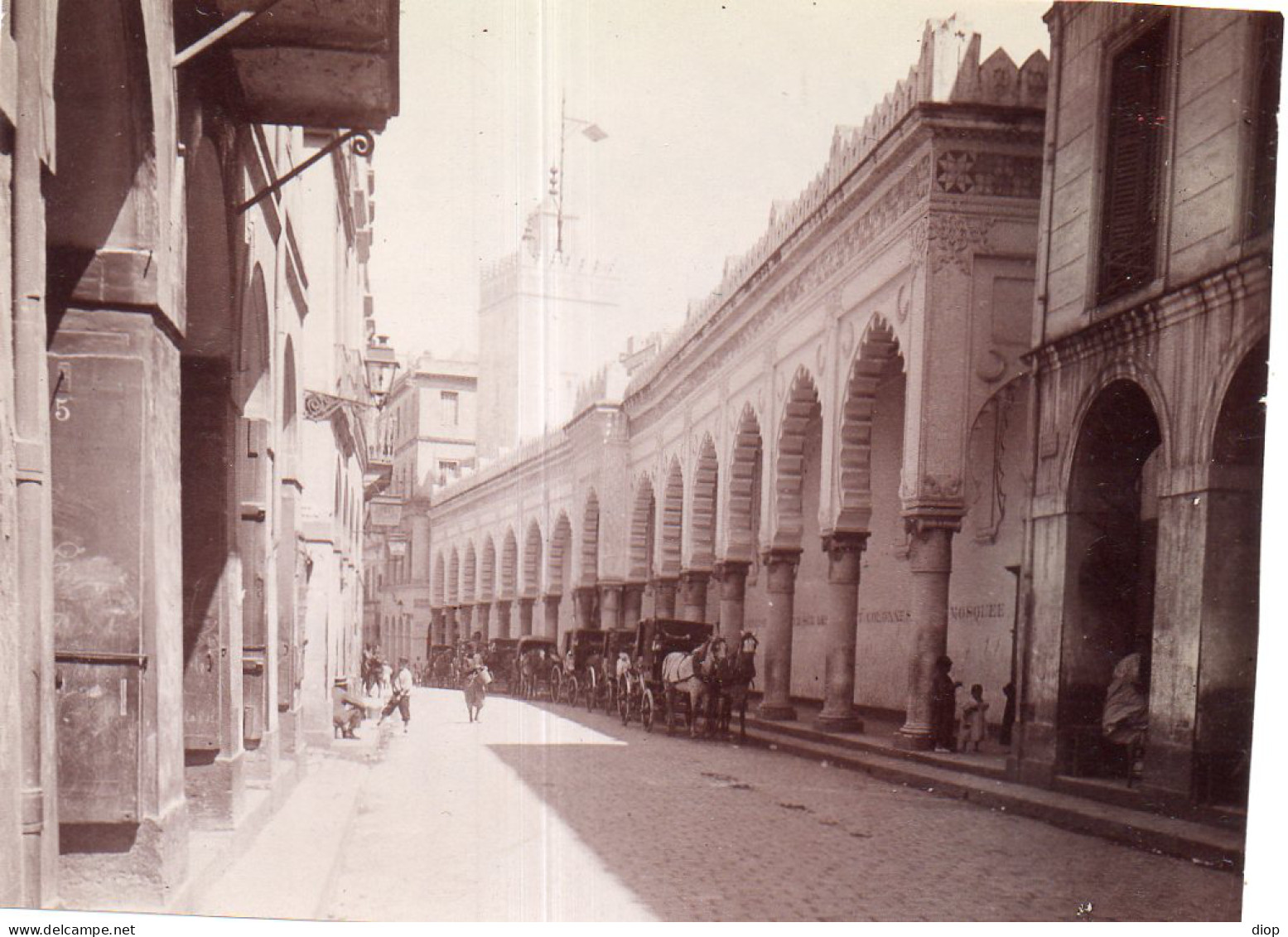 Photographie Photo Vintage Snapshot Afrique Alg&eacute;rie Alger - Afrique