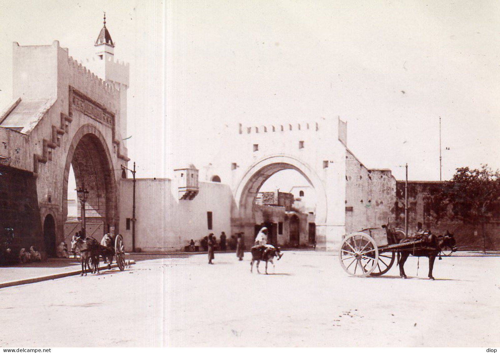 Photographie Photo Vintage Snapshot Afrique Tunisie Bab El Kadra - Africa