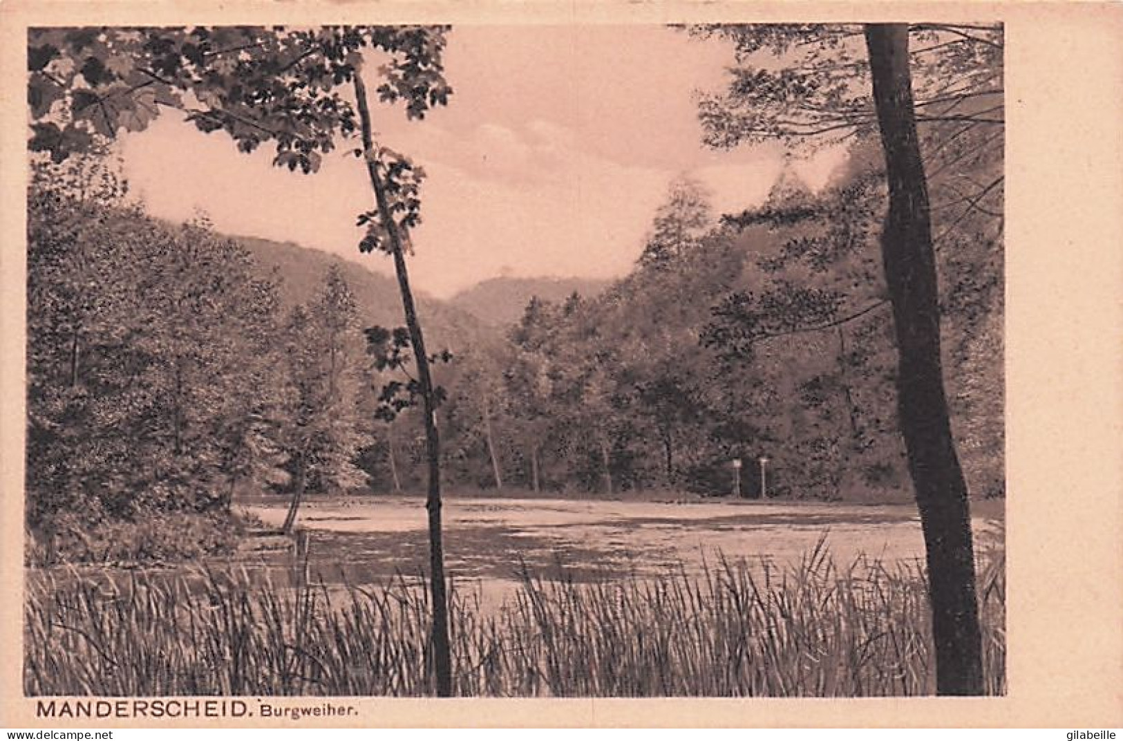 MANDERSCHEID - Burgweiher - Manderscheid