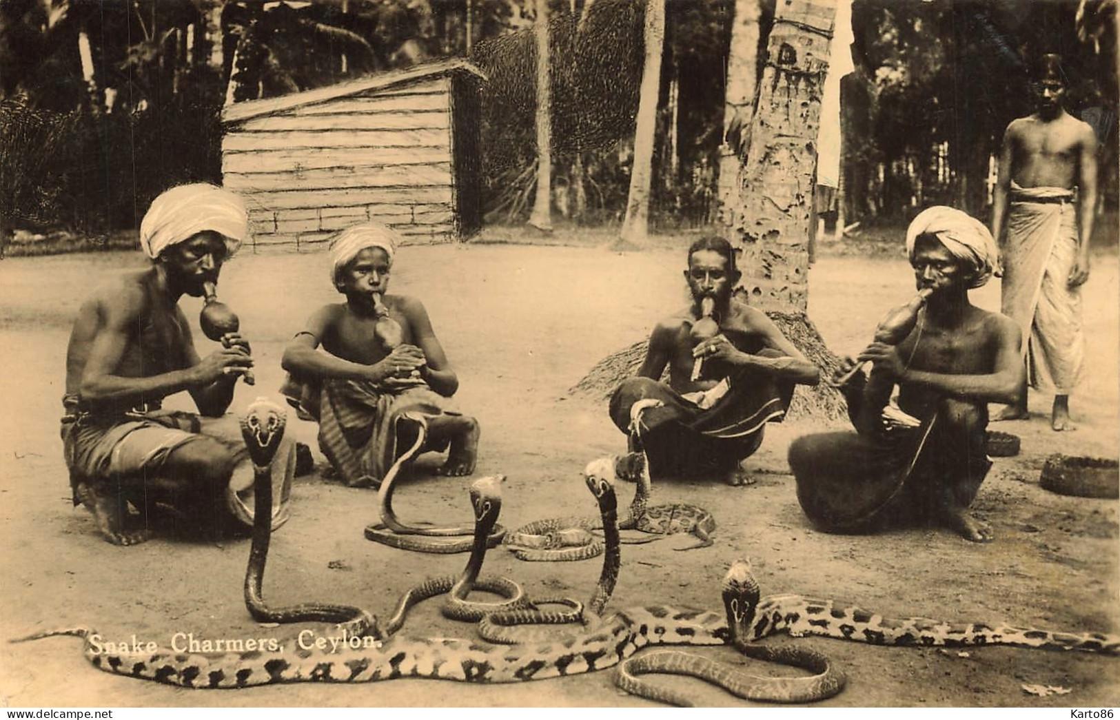 Ceylon * Carte Photo * Snake Charmers * Charmeurs De Serpents * Ceylan Sri Lanka - Sri Lanka (Ceilán)