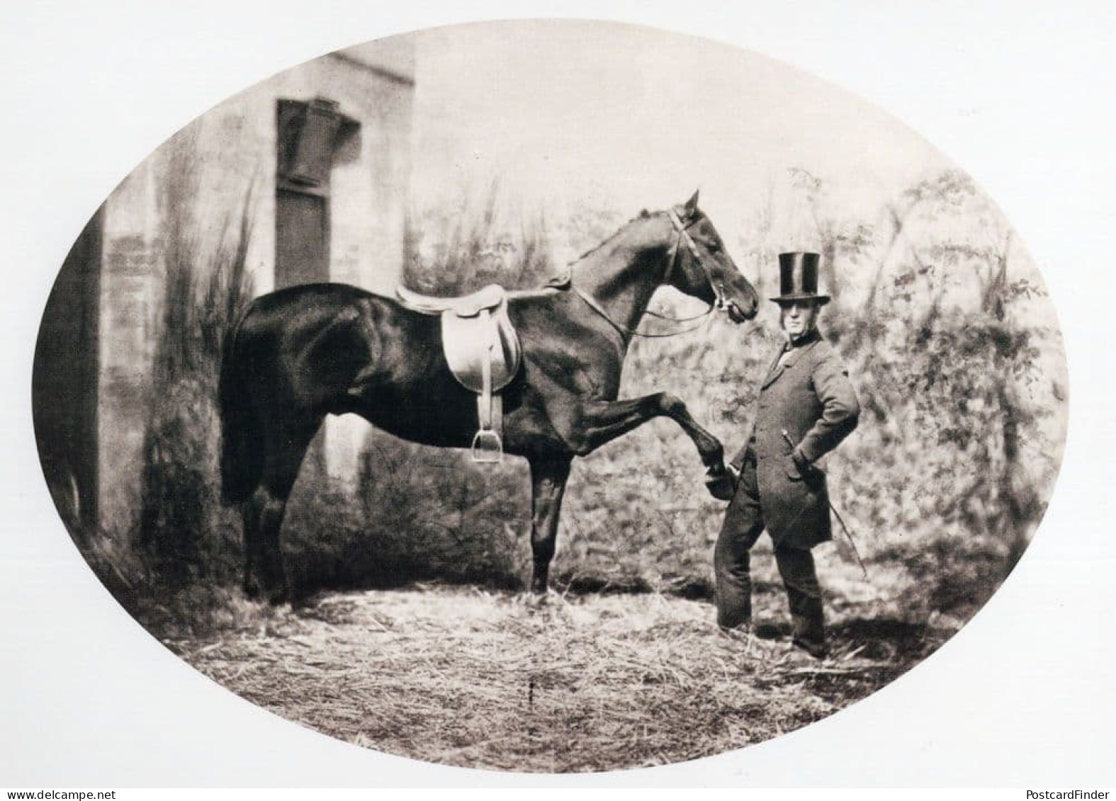 John Solomon Rarey Victorian Horse Rights Cruiser Real Photo Postcard - Fotografie
