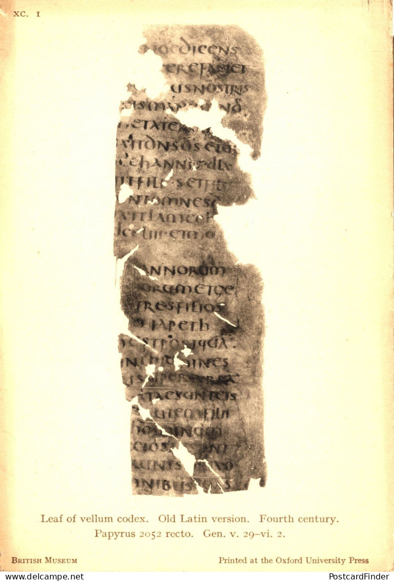 Leaf Of Vellum Codex Latin 4th Century Manuscript Old Museum Postcard - Articles Of Virtu