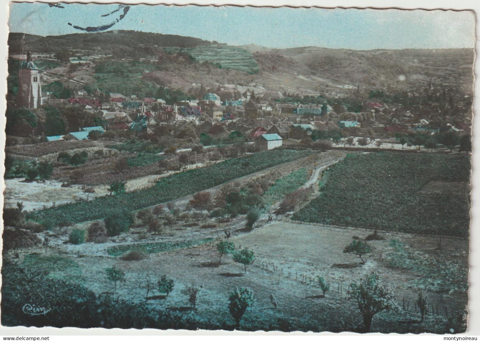 Jura : ARBOIS  Vue , Ses  Vignobles , Vue Sur Mesnay 195. - Arbois