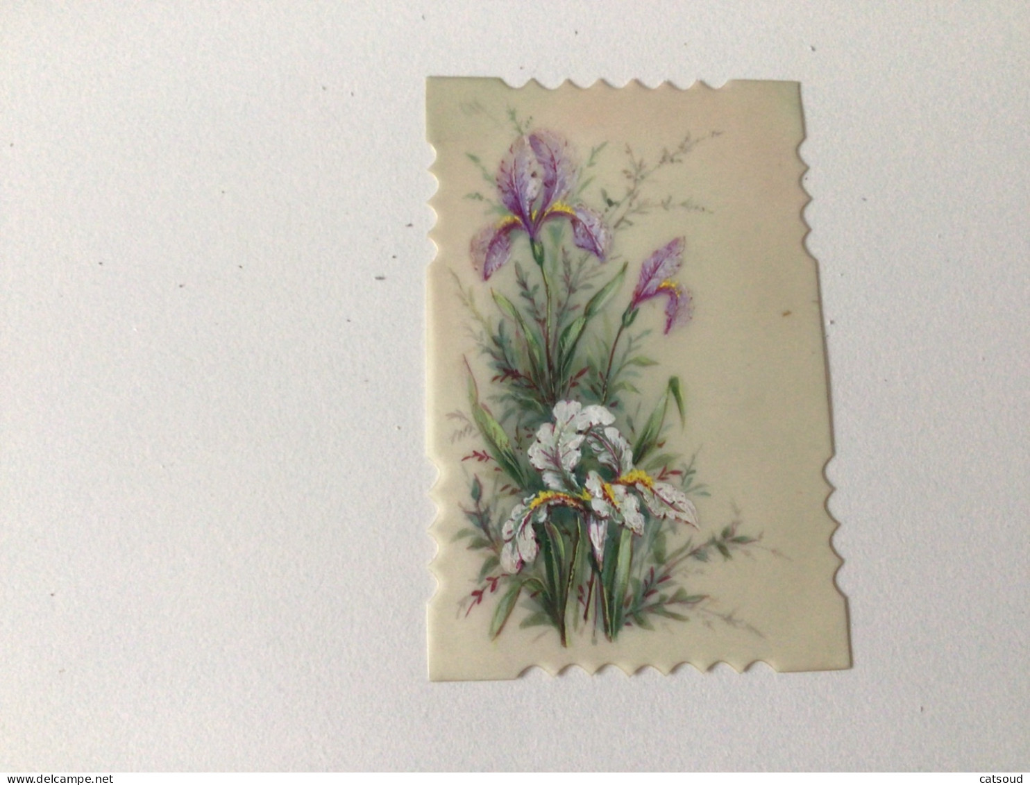 Petite Carte  Postale Ancienne Iris Sur Carte Transparente - Flowers