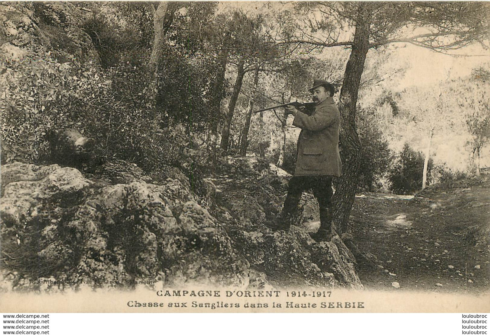 SERBIE CHASSE AUX SANGLIERS - Serbia