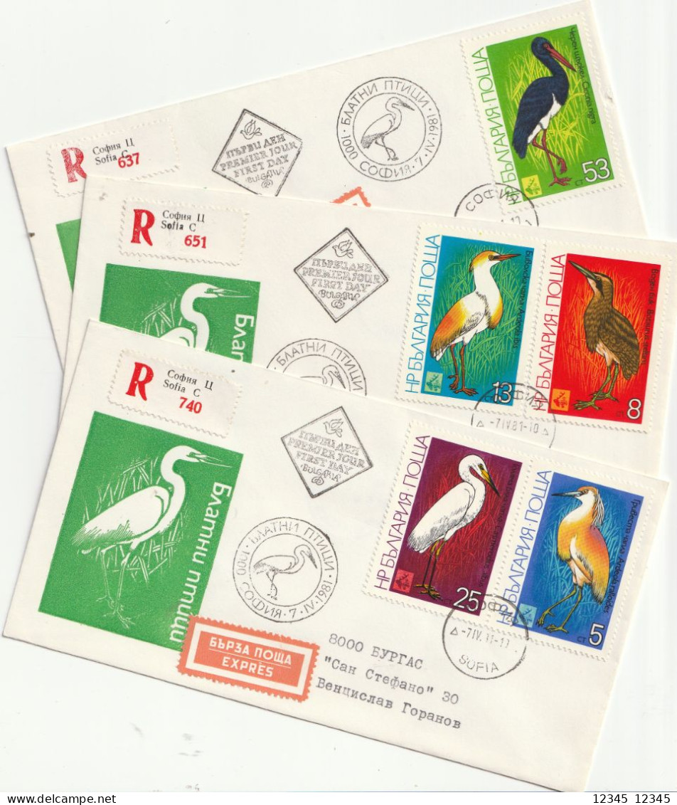 Bulgarije 1981, 3 Registered FDC, Birds - FDC