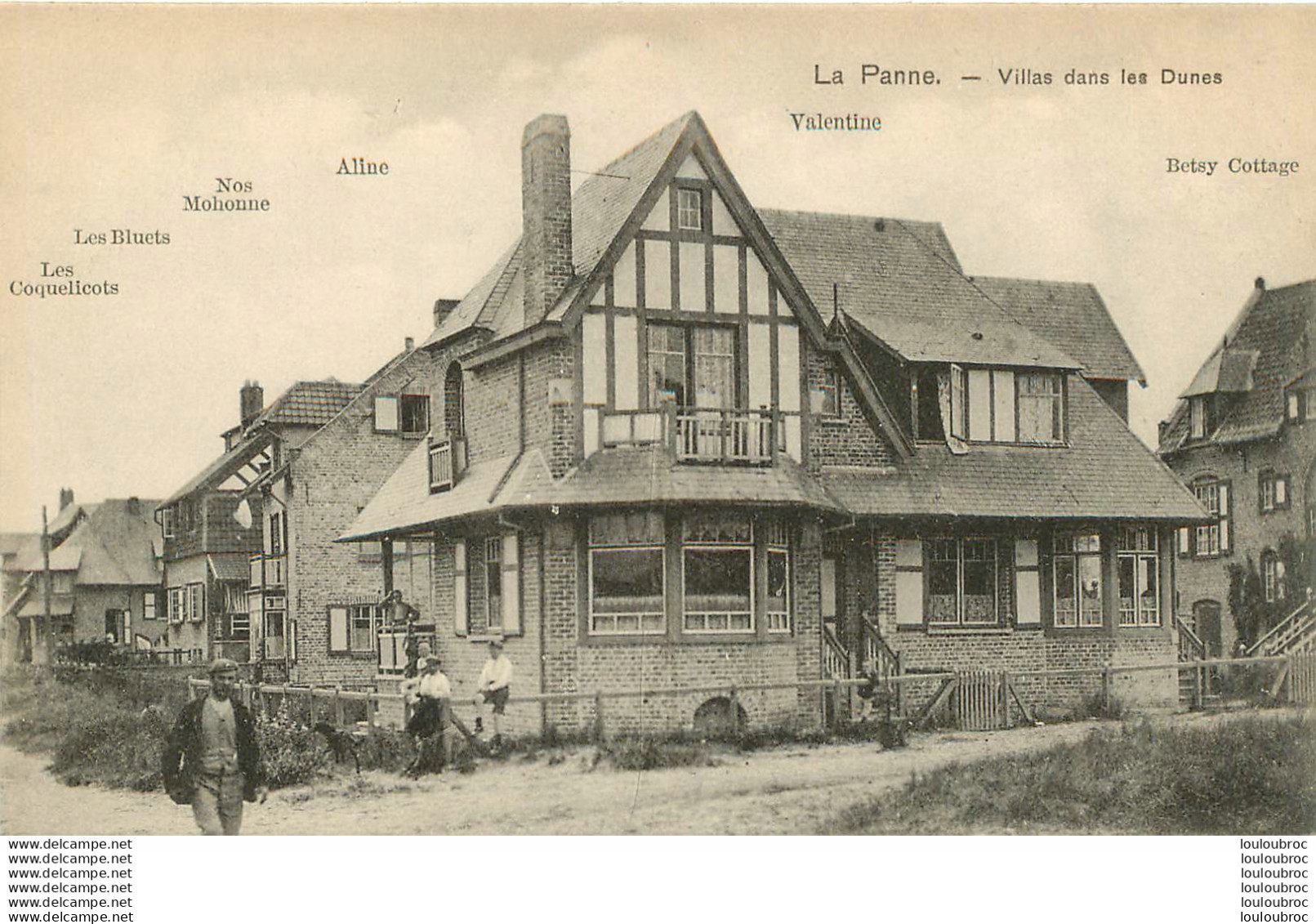 RARE LA PANNE VILLAS DANS LES DUNES - De Panne