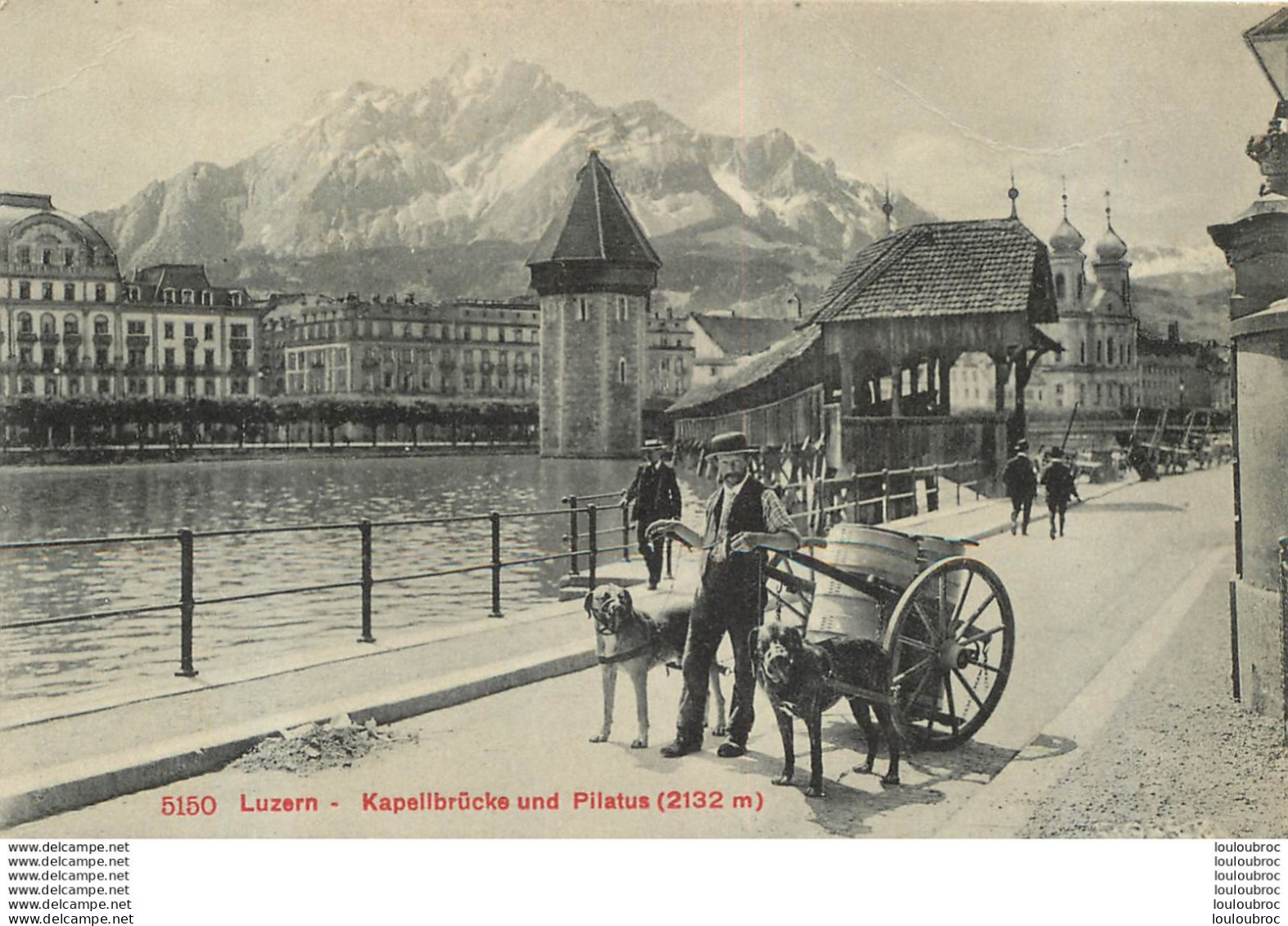 ATTELAGE DE CHIENS LUZERN - Lucerne