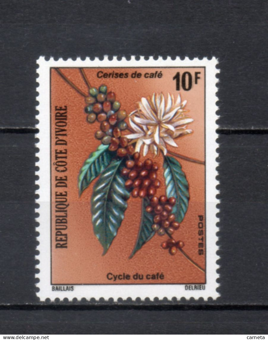 COTE D'IVOIRE N° 384    NEUF SANS CHARNIERE COTE 0.60€   FLEUR FLORE CAFE - Côte D'Ivoire (1960-...)