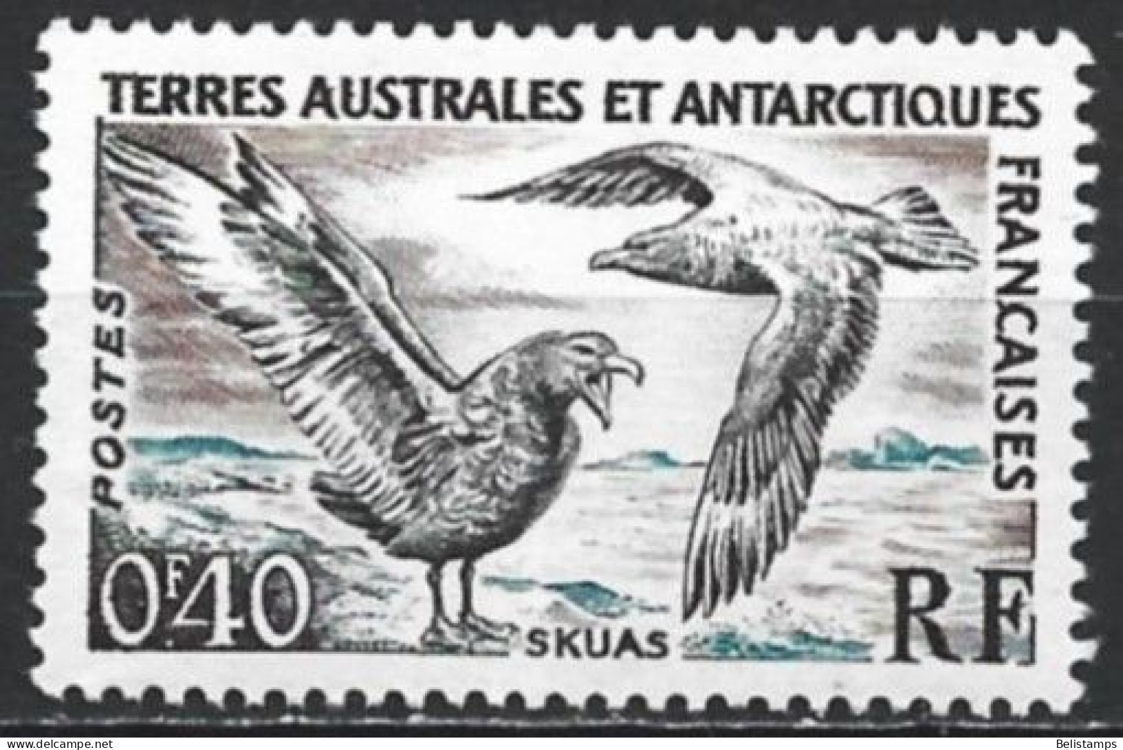French Southern & Antarctic Territory 1959. Scott #12 (MNH) Bird, Light-mantled Sooty Albatross - Unused Stamps