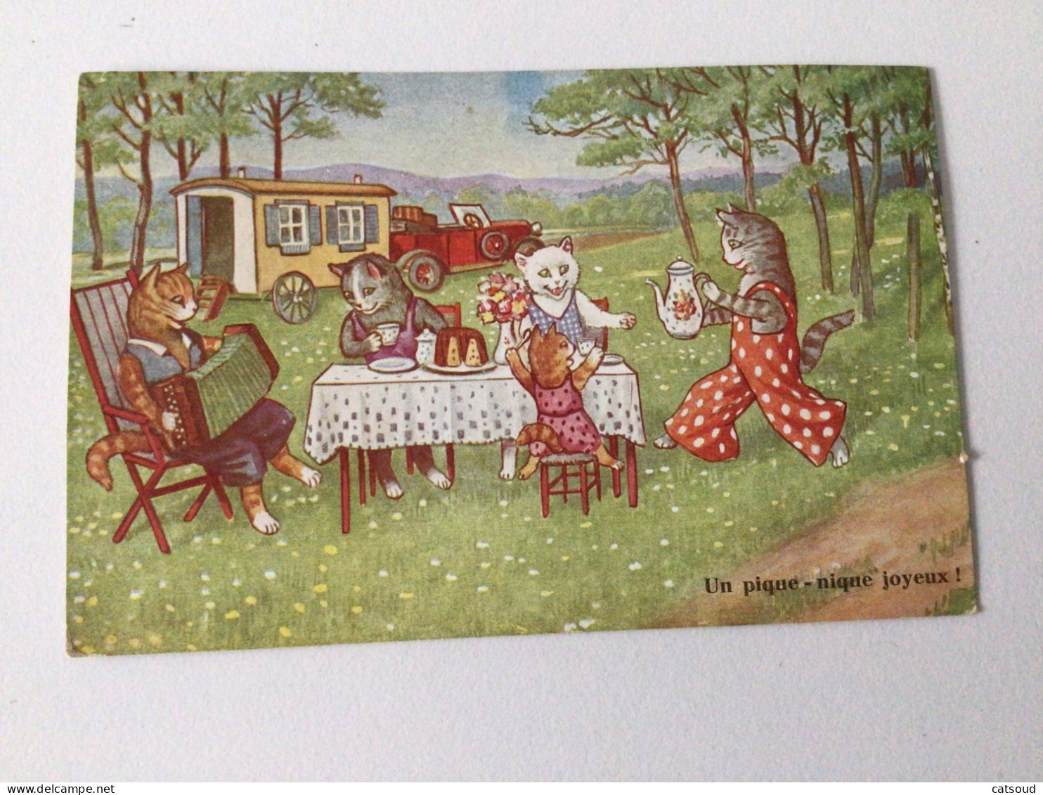 Carte Postale Ancienne Chats « Un Pique-nique joyeux « - Dressed Animals